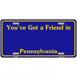 Pennsylvania Blue Blank Novelty Metal License Plate 12" x 6" (LP)