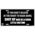 If You Dont Believe In The Right Metal Novelty License Plate 12" x 6" (LP)