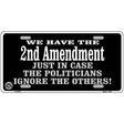 2nd Amendment In Case Politicians Ignore Metal Novelty License Plate 12" x 6" (LP)