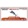 Quintana Roo Mexico Novelty Metal License Plate 12" x 6" (LP)