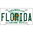 Florida Novelty Metal License Plate 12" x 6" (LP)