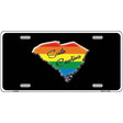 South Carolina Rainbow Metal Novelty License Plate 12" x 6" (LP)