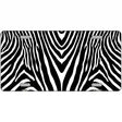 Zebra Metal Novelty License Plate 12" x 6" (LP)