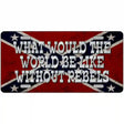 What Would The World Metal Novelty License Plate 12" x 6" (LP)