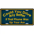 Could You Drive Metal Novelty License Plate 12" x 6" (LP)