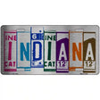 Indiana License Plate Art Metal Novelty License Plate 12" x 6" (LPC)