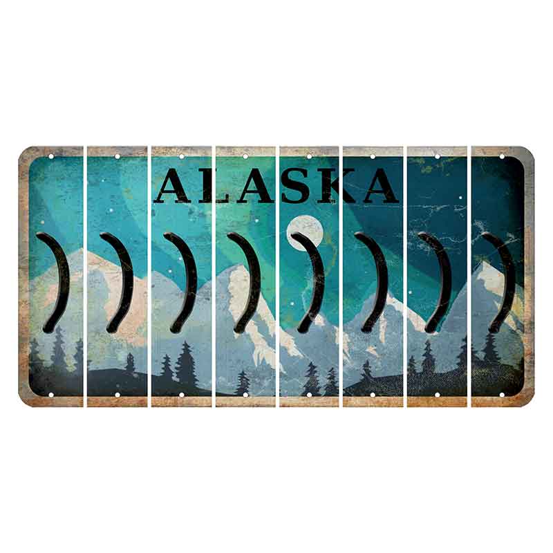Alaska Northern Lights Cut License Plate Strips (Set of 8) Parenthesis - Right