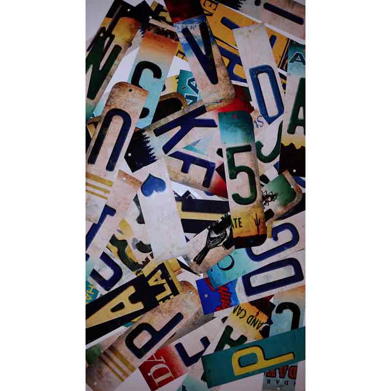 1068 Bulk Assorted Novelty Wholesale Cut License Plate Strips (1068 Strips)