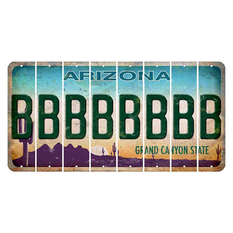 Arizona Desert Scene Cut License Plate Strips (Set of 8)