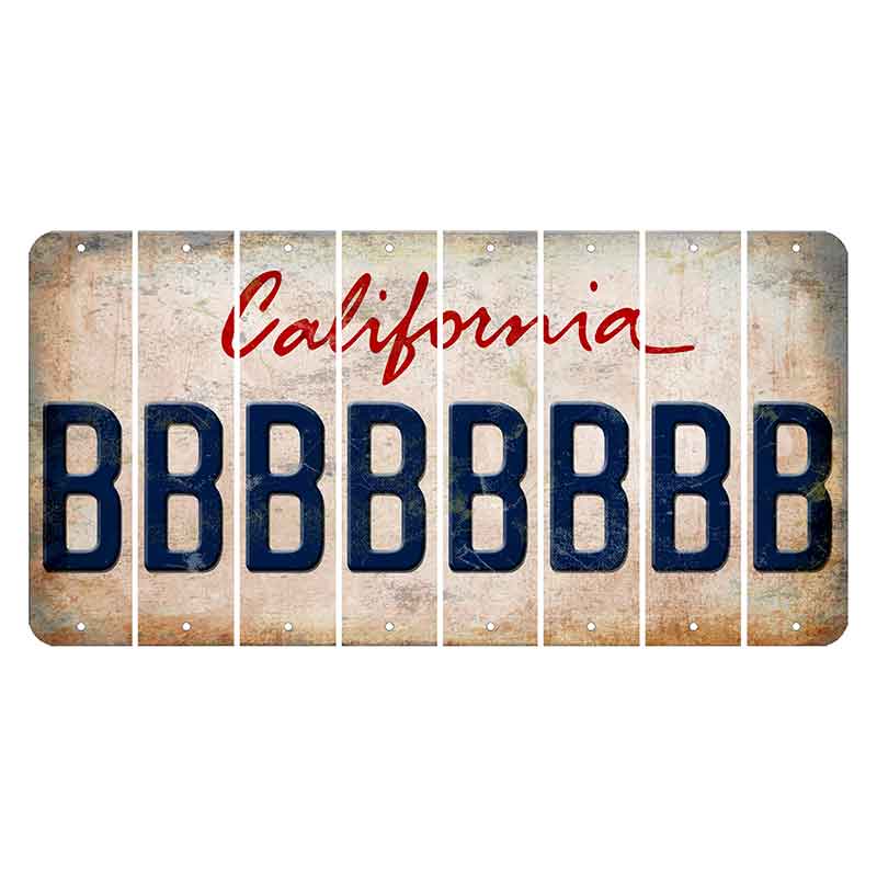California White Cut License Plate Strips (Set of 8) B