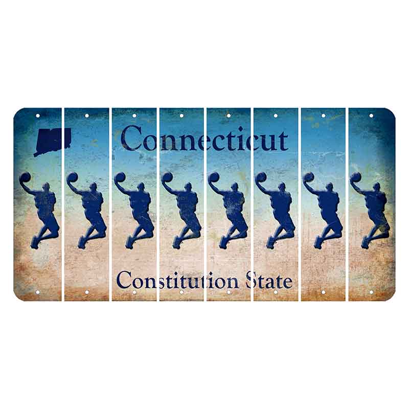 Connecticut Constitution State Cut License Plate Strips (Set of 8)