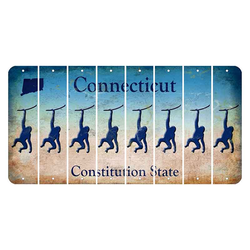 Connecticut Constitution State Cut License Plate Strips (Set of 8)