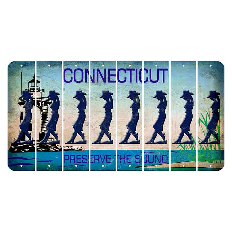 Connecticut Preserve the Sound Cut License Plate Strips (Set of 8)