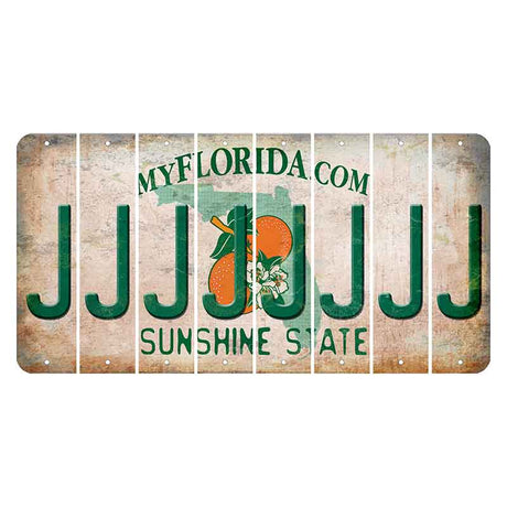 Florida Orange Blossom Cut License Plate Strips (Set of 8)