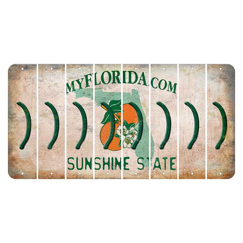 Florida Orange Blossom Cut License Plate Strips (Set of 8)