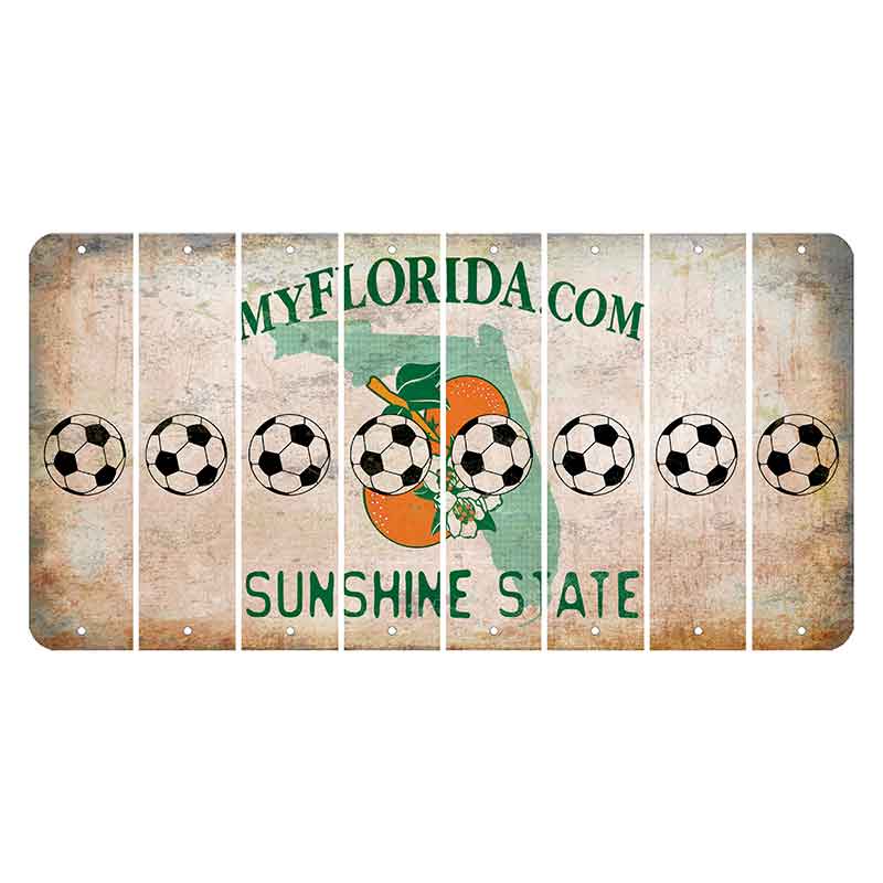 Florida Orange Blossom Cut License Plate Strips (Set of 8) Soccerball