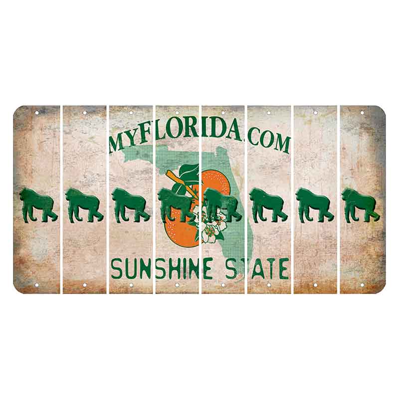 Florida Orange Blossom Cut License Plate Strips (Set of 8)