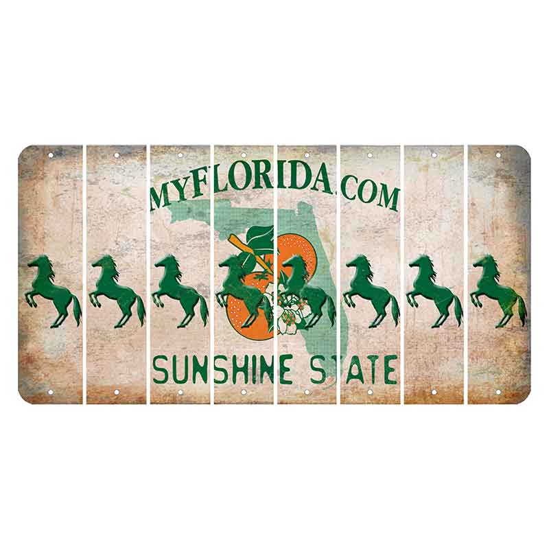 Florida Orange Blossom Cut License Plate Strips (Set of 8)