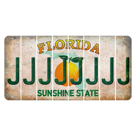 Florida Citrus Orange Cut License Plate Strips (Set of 8)