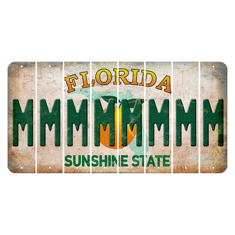 Florida Citrus Orange Cut License Plate Strips (Set of 8)