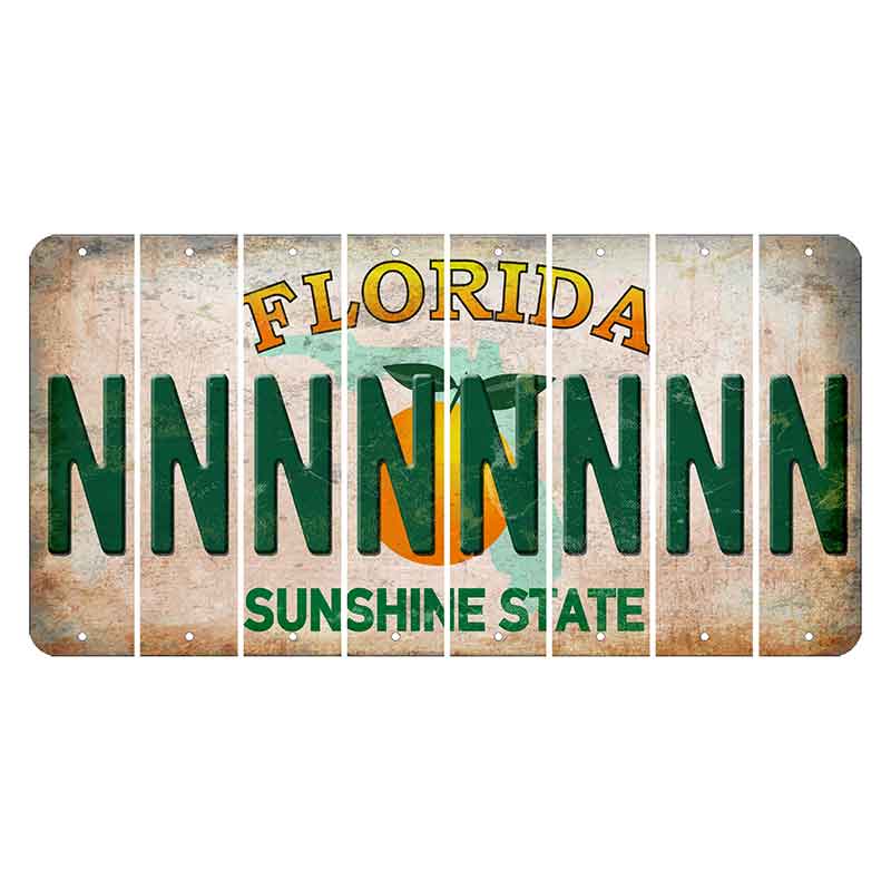 Florida Citrus Orange Cut License Plate Strips (Set of 8) N