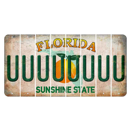 Florida Citrus Orange Cut License Plate Strips (Set of 8)