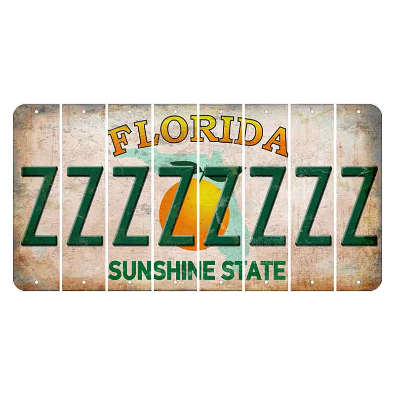 Florida Citrus Orange Cut License Plate Strips (Set of 8)