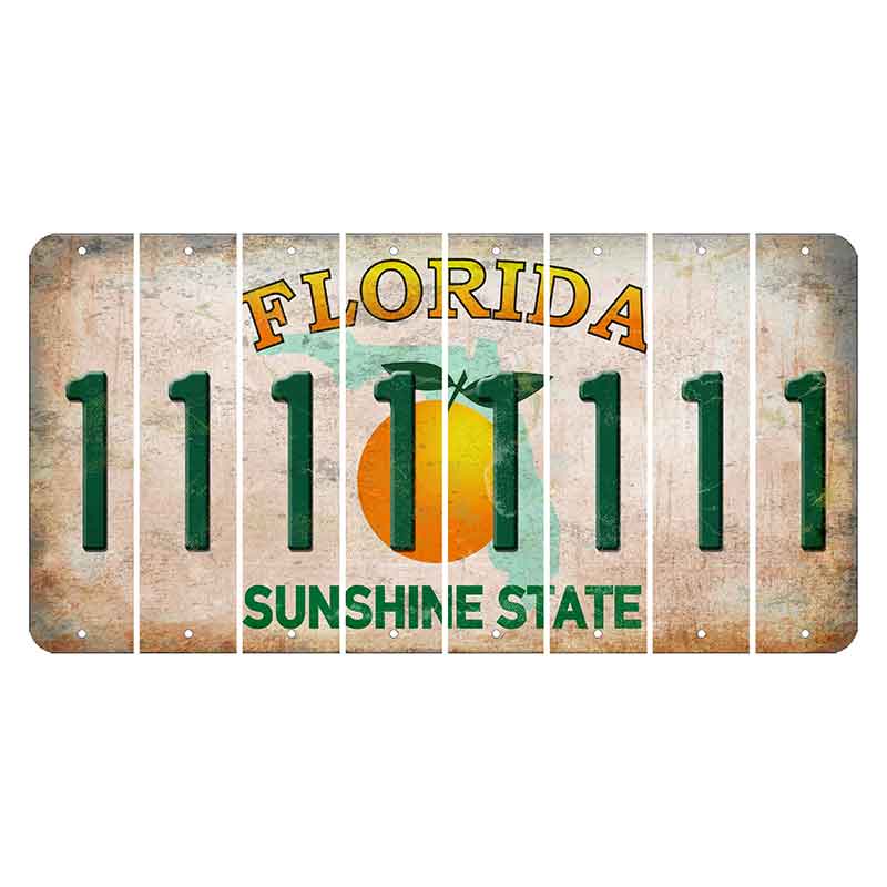 Florida Citrus Orange Cut License Plate Strips (Set of 8)