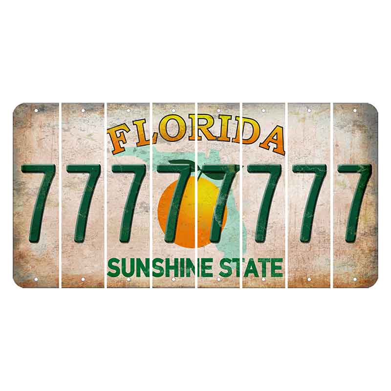 Florida Citrus Orange Cut License Plate Strips (Set of 8)