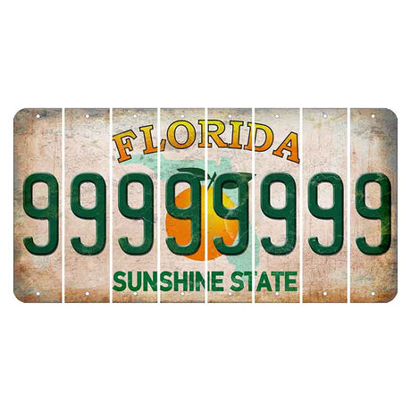 Florida Citrus Orange Cut License Plate Strips (Set of 8)