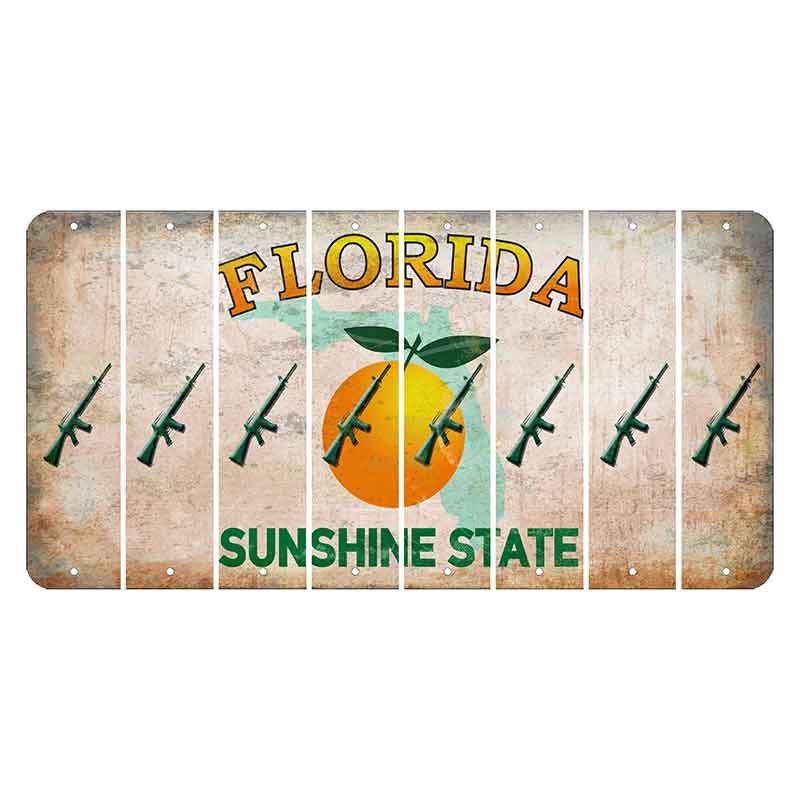 Florida Citrus Orange Cut License Plate Strips (Set of 8)