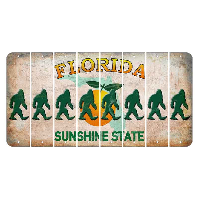 Florida Citrus Orange Cut License Plate Strips (Set of 8)