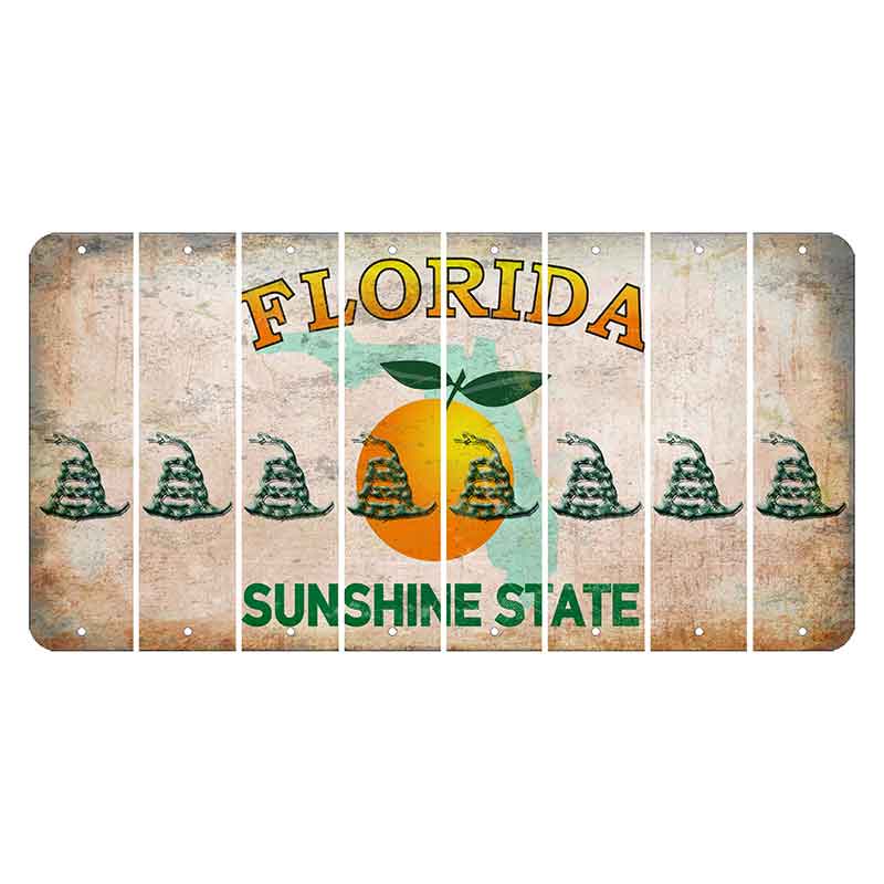 Florida Citrus Orange Cut License Plate Strips (Set of 8)