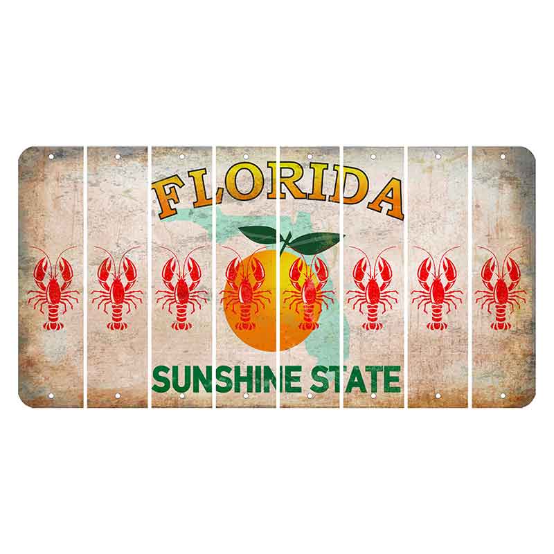 Florida Citrus Orange Cut License Plate Strips (Set of 8)