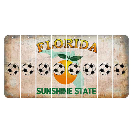 Florida Citrus Orange Cut License Plate Strips (Set of 8)