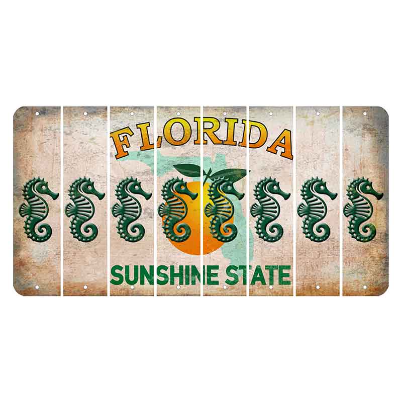 Florida Citrus Orange Cut License Plate Strips (Set of 8)