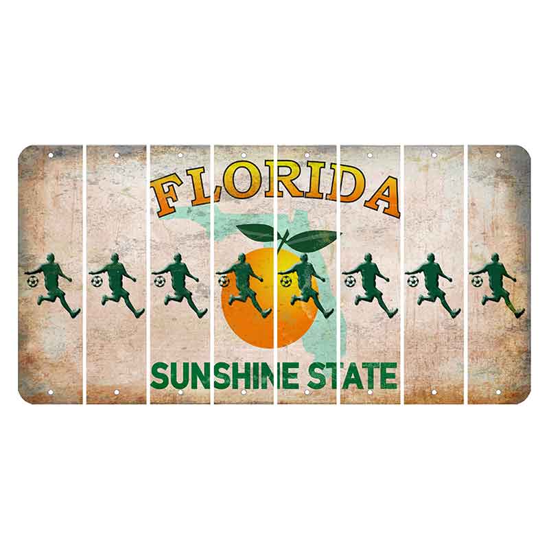 Florida Citrus Orange Cut License Plate Strips (Set of 8)