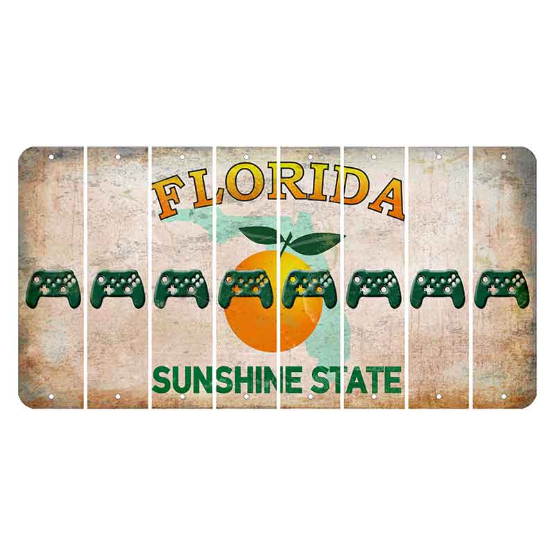 Florida Citrus Orange Cut License Plate Strips (Set of 8)