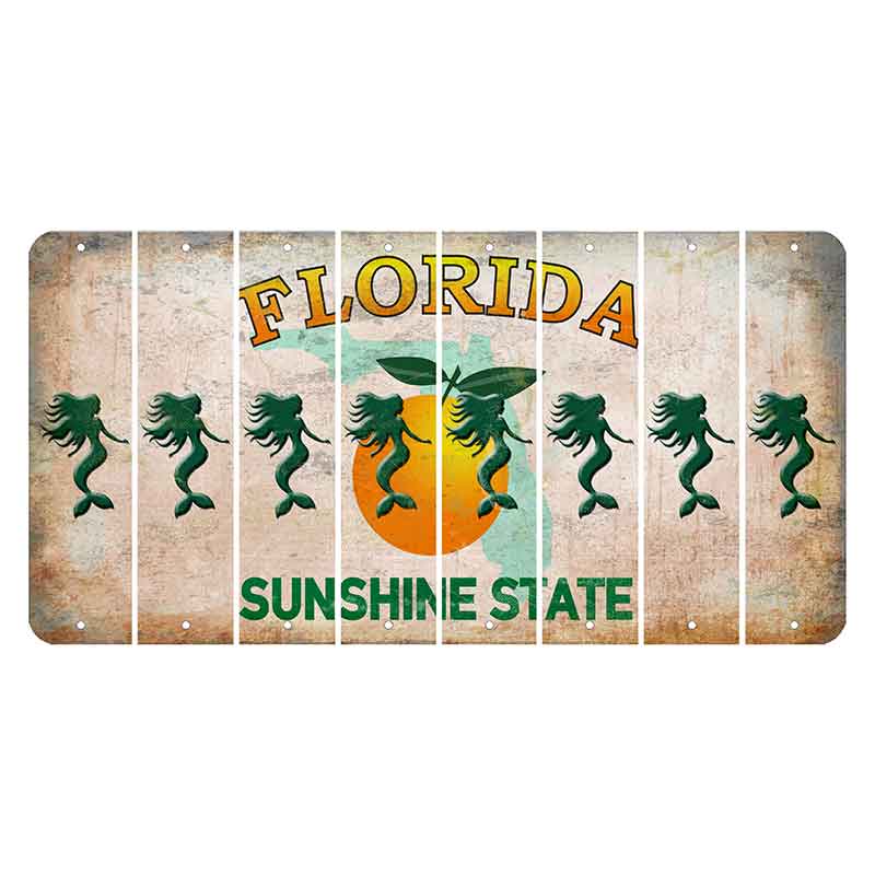 Florida Citrus Orange Cut License Plate Strips (Set of 8)