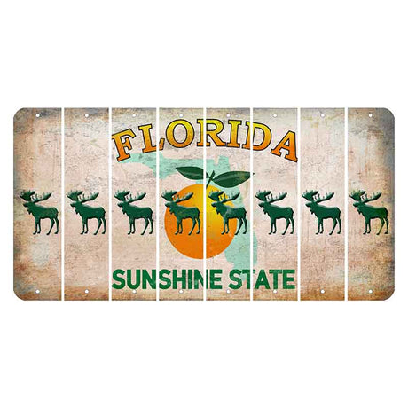 Florida Citrus Orange Cut License Plate Strips (Set of 8)