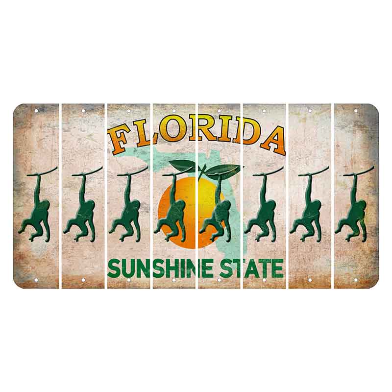 Florida Citrus Orange Cut License Plate Strips (Set of 8)