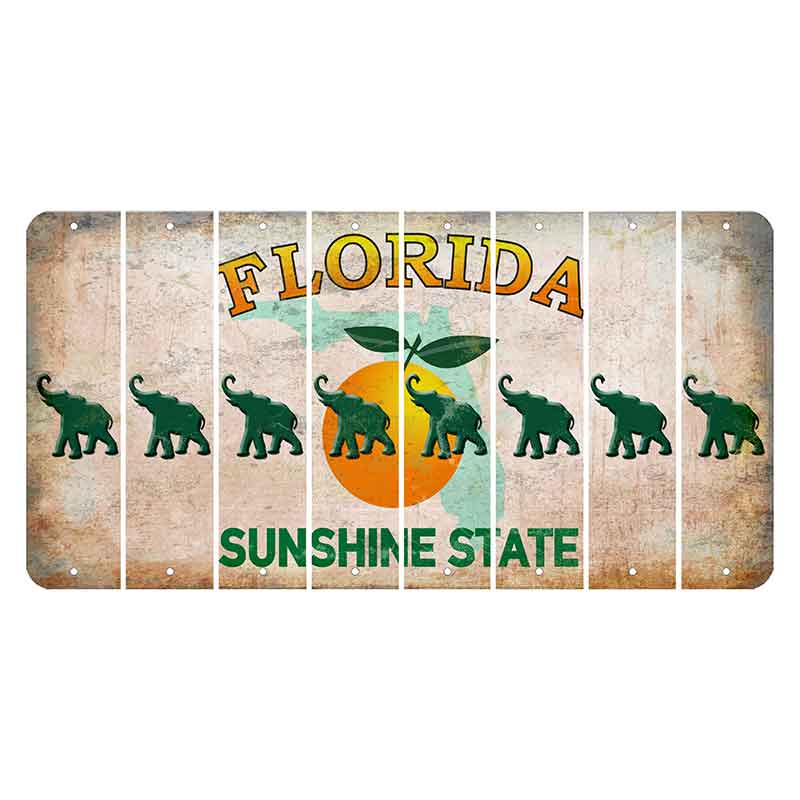 Florida Citrus Orange Cut License Plate Strips (Set of 8)