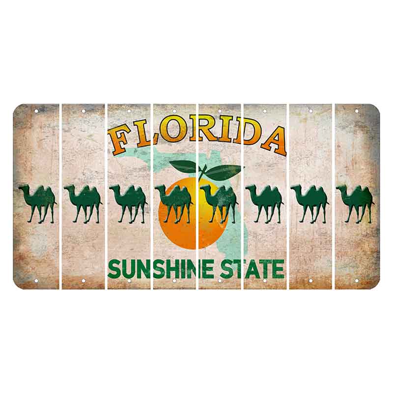 Florida Citrus Orange Cut License Plate Strips (Set of 8)