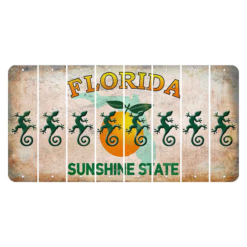 Florida Citrus Orange Cut License Plate Strips (Set of 8)