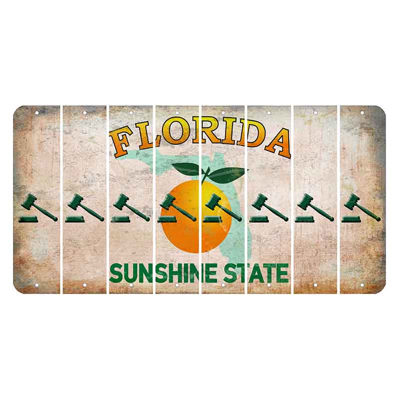 Florida Citrus Orange Cut License Plate Strips (Set of 8)