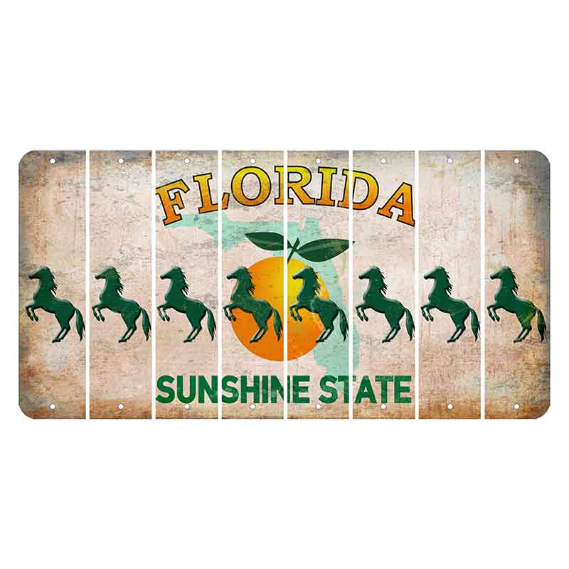 Florida Citrus Orange Cut License Plate Strips (Set of 8)