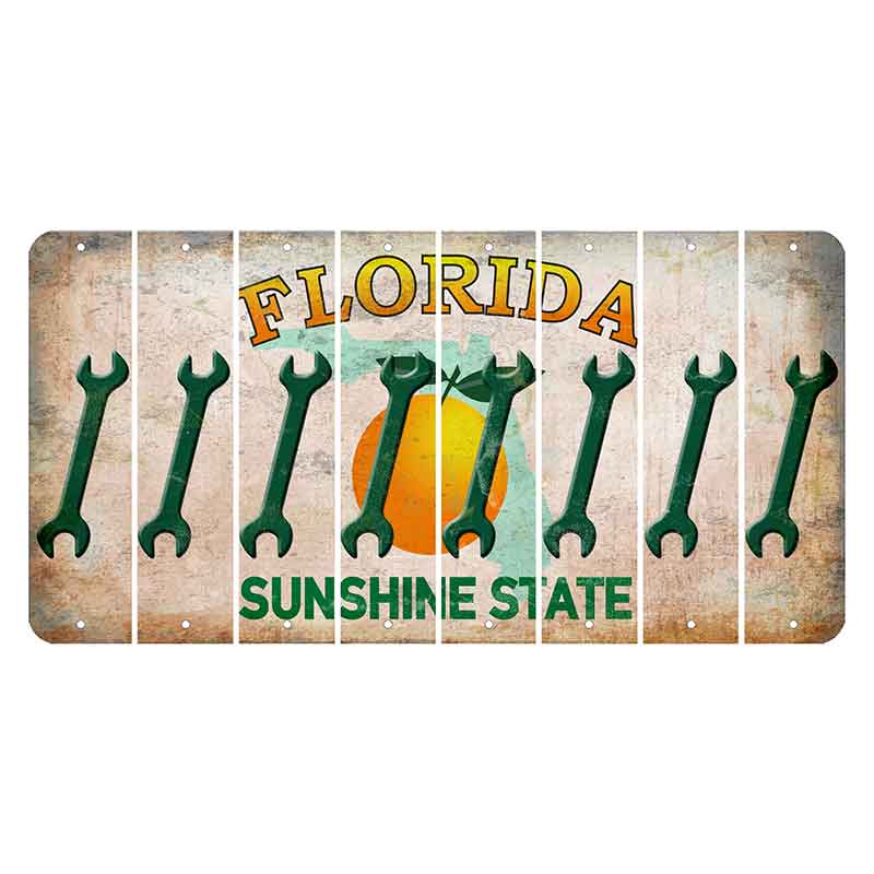 Florida Citrus Orange Cut License Plate Strips (Set of 8)