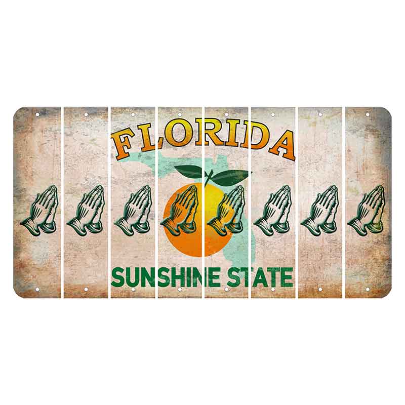 Florida Citrus Orange Cut License Plate Strips (Set of 8)