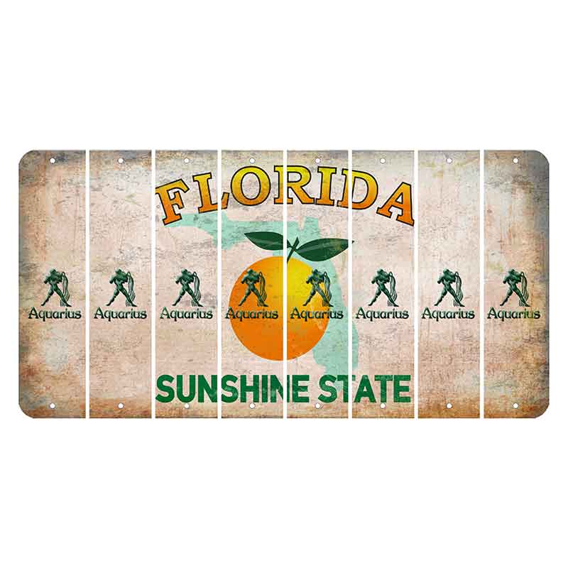Florida Citrus Orange Cut License Plate Strips (Set of 8) Zodiac Sign - Aquarius