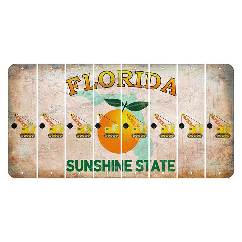 Florida Citrus Orange Cut License Plate Strips (Set of 8)